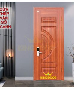 Cửa thép vân gỗ KG-1.01T